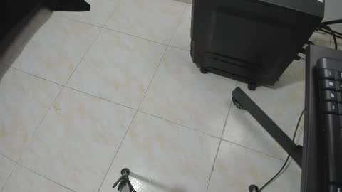 goldyht online show from December 16, 12:55 pm