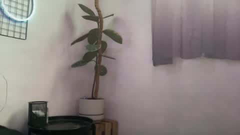 goodbatorboy online show from July 26, 2:58 pm