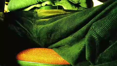 grapefruit online show from November 12, 9:22 am