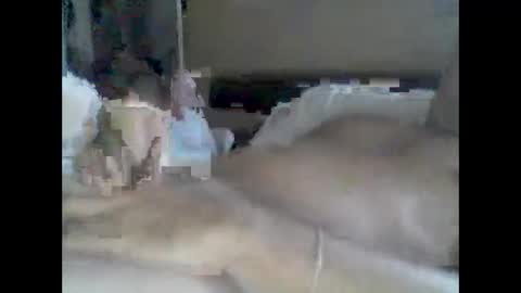 grittslappa online show from September 15, 12:56 am