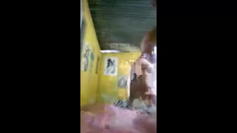 gumbel_ online show from April 25, 11:12 am