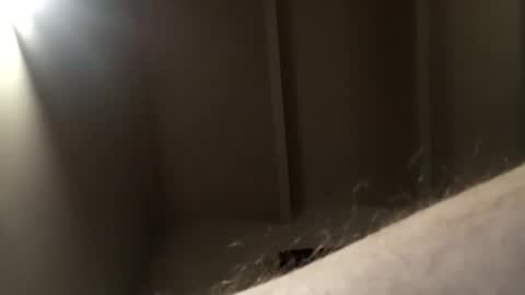 h_rd333 online show from January 6, 11:07 am