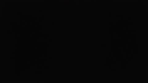 Habib online show from November 12, 10:01 pm