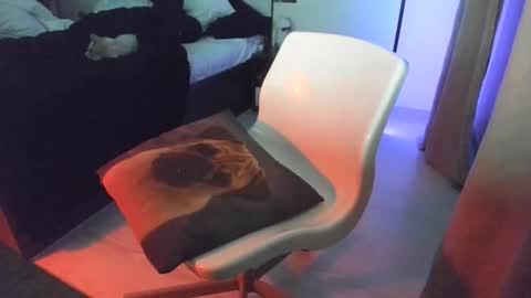 haildave6 online show from February 20, 12:43 am