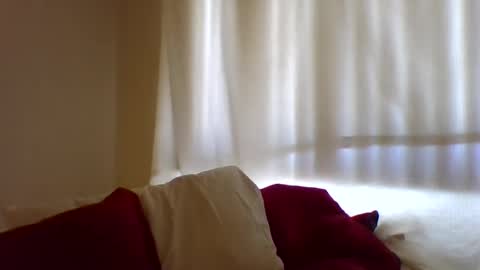 Hailey online show from February 11, 7:38 pm