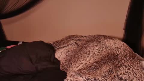 HailWilds online show from March 1, 2:59 am