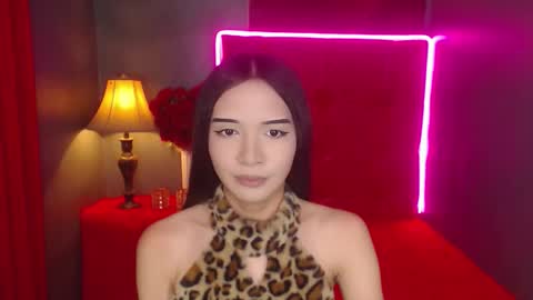 Haily online show from February 7, 9:23 am