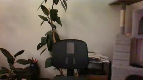 hairypussylover089 online show from July 12, 4:59 am