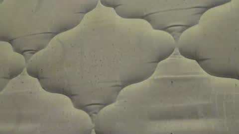 hamhead71 online show from April 15, 8:06 am