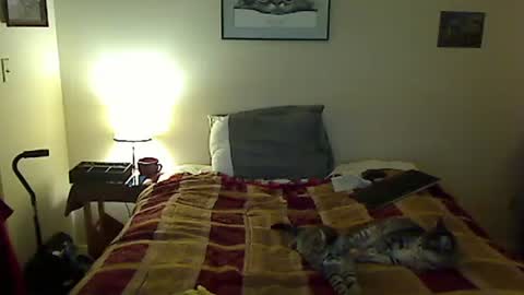 hammerthatthang73 online show from March 30, 9:42 am