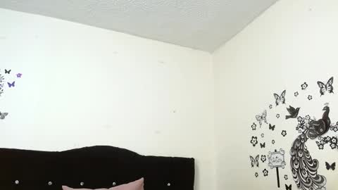 hanna online show from December 20, 10:22 am