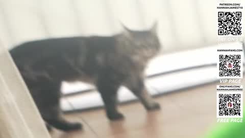 Hannah James online show from February 5, 2:53 pm