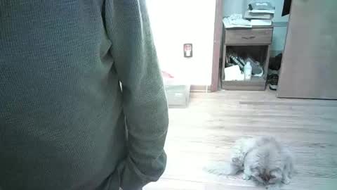 Hardy-Har online show from January 3, 8:01 pm