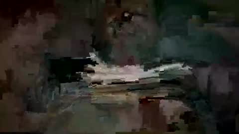 haraldddt online show from March 1, 12:48 am