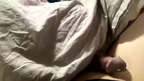 hard4u242920 online show from October 14, 12:24 am