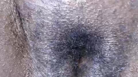 Wetty online show from February 19, 2:16 pm