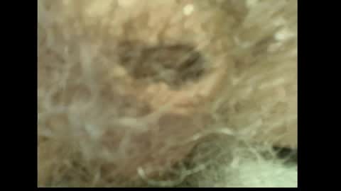 harry_banana online show from April 19, 1:01 pm