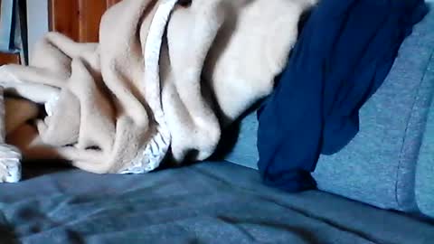 havier282874 online show from June 16, 7:23 am