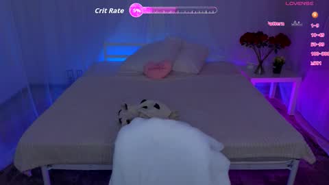 Hayle online show from November 8, 4:48 am