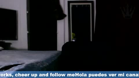 Eros online show from April 1, 11:34 pm