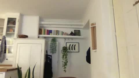 Lucas online show from January 3, 5:42 pm