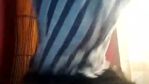hermeticoo online show from August 1, 7:04 pm