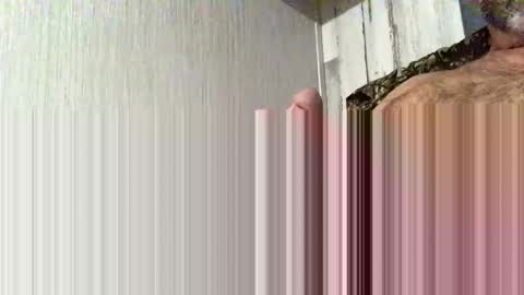 HighFlyer online show from November 1, 2:45 am