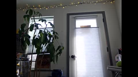 hippiejagain online show from January 19, 4:39 pm