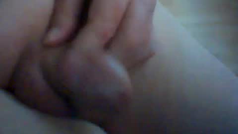 hoefli online show from August 1, 8:27 am