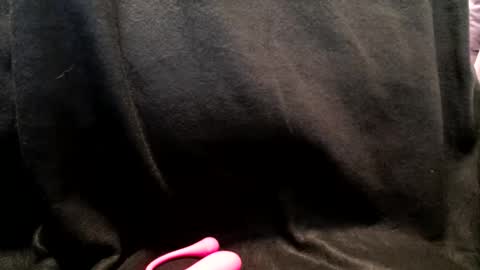 hoiiand48482 online show from January 13, 10:25 am