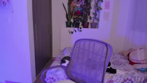 Lau online show from January 4, 1:31 am