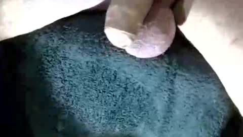 Snapshot of horse_dick9 chatting on September 21, 11:03 am horse_dick9 online show from September 21, 11:03 am