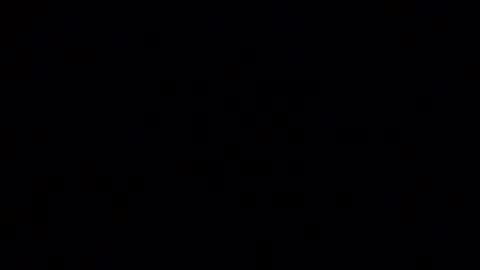 horsebrowm online show from January 2, 2:33 am