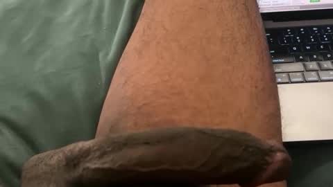 Bbc horsey online show from December 17, 12:06 am