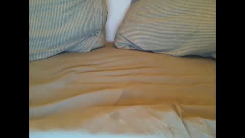 Lars online show from March 1, 11:26 pm