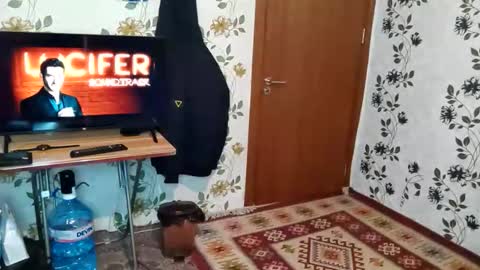 Kristiyan online show from February 24, 12:35 am