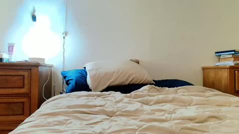 Lili Vixen online show from February 4, 4:48 am