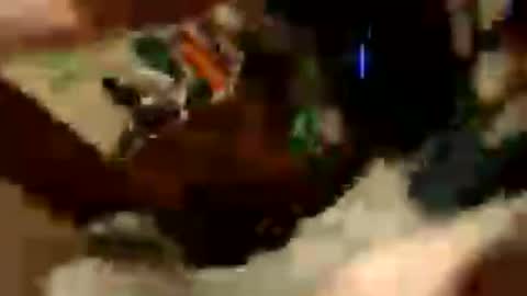 huewildy online show from July 4, 3:21 am