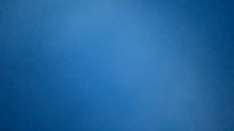 hummelbummel00 online show from February 11, 7:18 pm