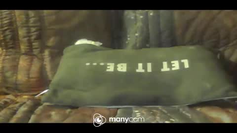 hung420boner online show from March 6, 12:15 pm