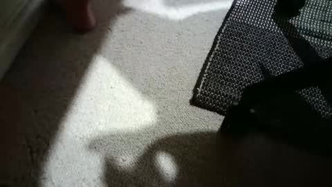 Hypeman online show from April 25, 5:20 am