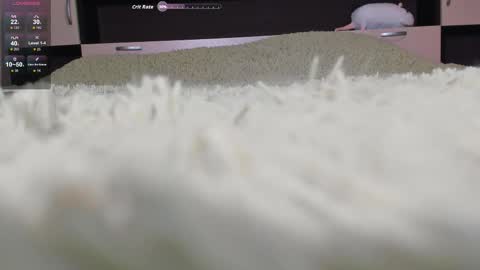 camilla 3 online show from January 11, 2:34 pm