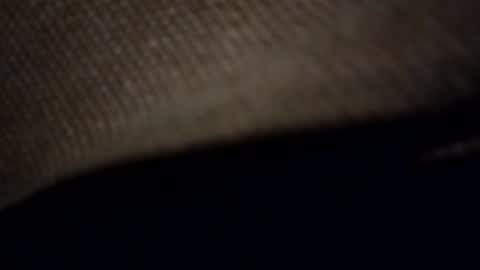 ihktqjtwzczh online show from February 17, 1:26 am