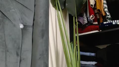 Sandrah online show from December 13, 8:15 pm