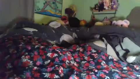 indigo_scorpio online show from January 15, 7:50 am