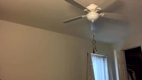 IntoTheWoodsWeGo online show from March 5, 10:30 pm