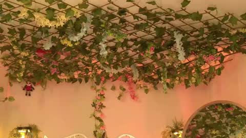 Isabella        online show from April 12, 10:58 pm