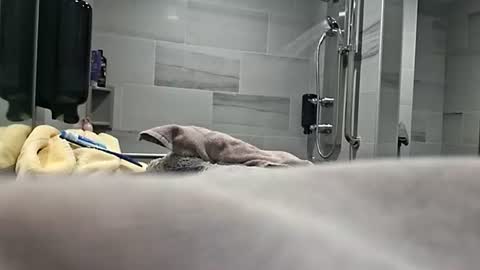 Girlnextdoor online show from January 15, 2:20 am