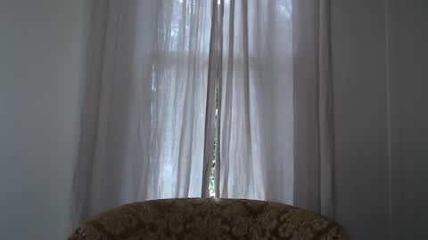 Ivy Rosie online show from October 21, 5:05 pm