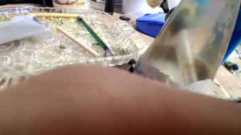 Iwannatryou online show from April 29, 4:39 am